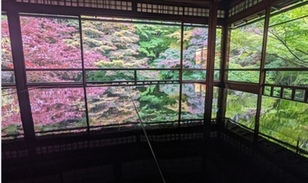 京都瑠璃光院のモミジ紅葉