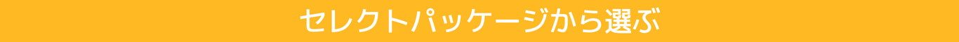 セレクトパッケージから選ぶボタン